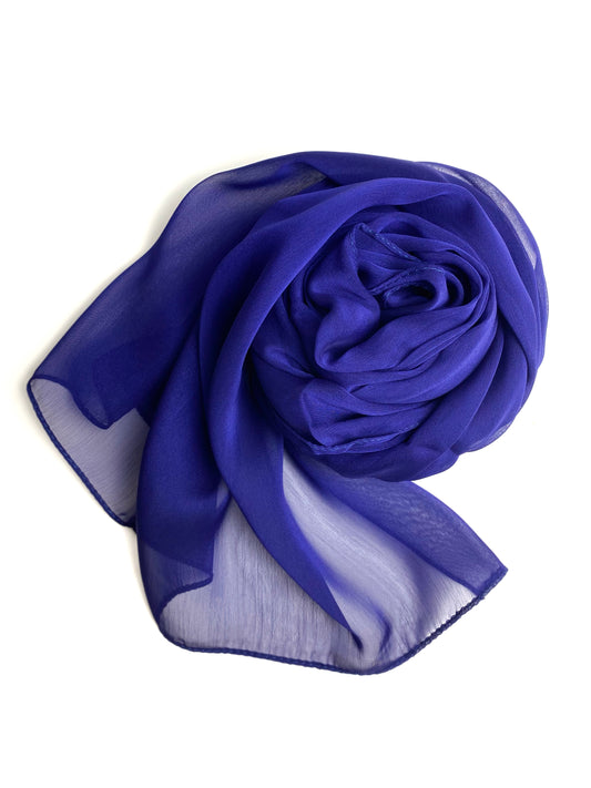 Shiny BLEU ROI